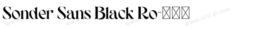 Sonder Sans Black Ro字体转换 Sonder Sans Black Ro字体转换
